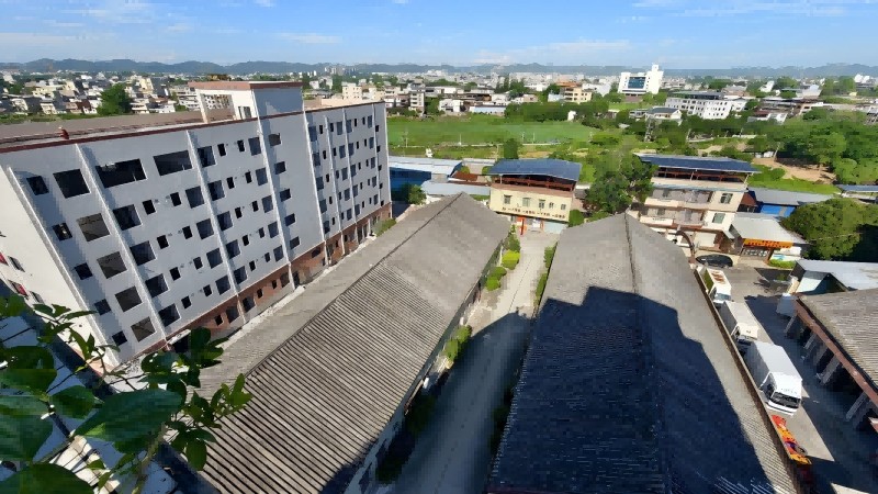 pic2.jpg